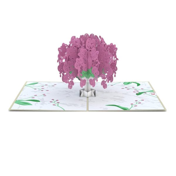 Orchid Arrangement 3D card on Sale