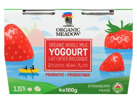 Yogourt Fraise Lait Entier Biologique Probiotique Sale