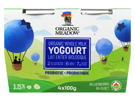 Yogourt Bleuet Lait Entier Biologique Probiotique For Cheap