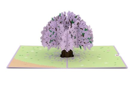 Jacaranda Tree 3D Card Online Hot Sale