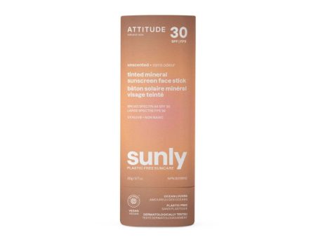 Bâton Solaire Minéral Visage Teinté Sunly Sans Odeur FPS 30 Sale