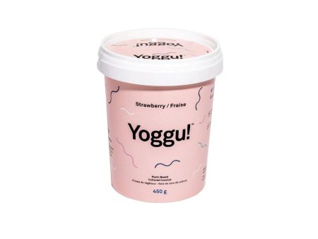 Yogourt Noix de Coco de Culture Fraise Online now