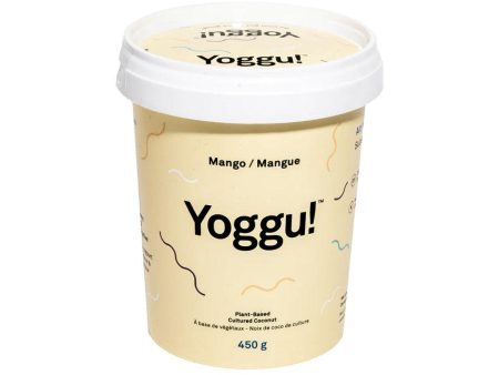 Yogourt Noix de Coco de Culture Mangue Discount