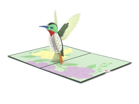 Hummingbird 3D Card on Sale