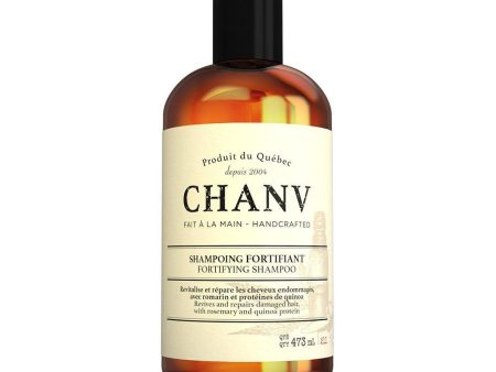 Shampoing Fortifiant à l Huile de Chanvre Supply